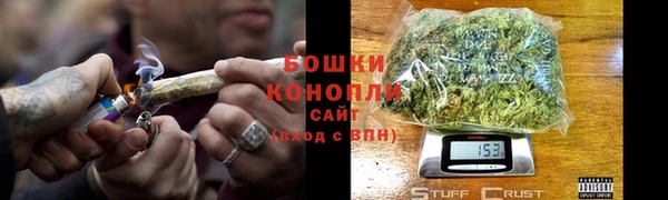 сатива Дмитров