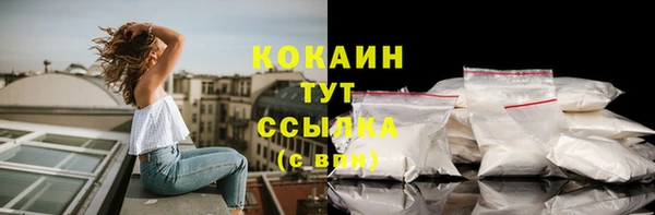 сатива Дмитров