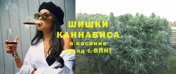 сатива Дмитров