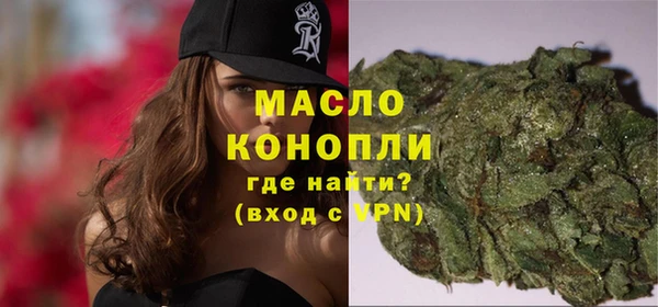 эйфоретик Гусь-Хрустальный