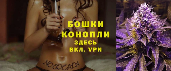 СК Дмитриев