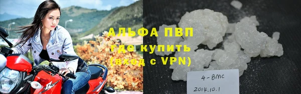 сатива Дмитров