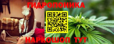 спиды Моздок