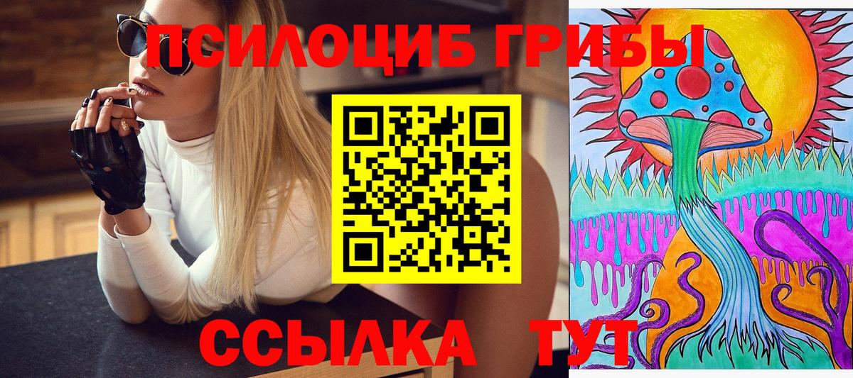 Реж  Псилоцибиновые грибы прущие грибы  Вход с VPN  купить наркотики сайты  Псилоцибиновые грибы прущие грибы 